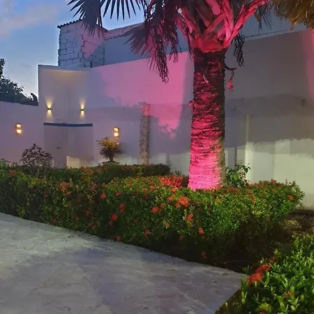 Ledymar Cartagena